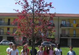 La cultura del verde e dell'ambiente si impara da piccoli: ritorna la Festa dell'Albero